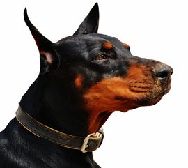 DB电竞平台-PSG力克DRX,Clid打出惊人五杀,2025世界赛2:0胜出