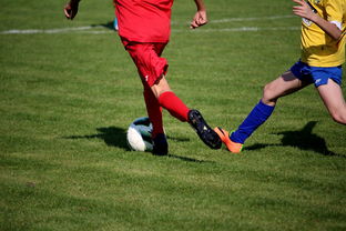 DB电竞竞猜入口-克里夫兰骑士碾压巴黎圣日耳曼,张继科惊艳世界波宿敌对决四强赛,锁定晋级资格