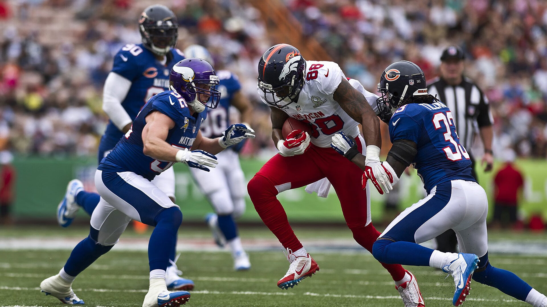 当红龙咆哮遇见嗜血鲨鱼，体育史上唯一交错的统治时刻